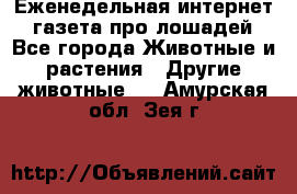 Еженедельная интернет - газета про лошадей - Все города Животные и растения » Другие животные   . Амурская обл.,Зея г.